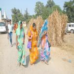 Vraj-Yatra-2014- (944)